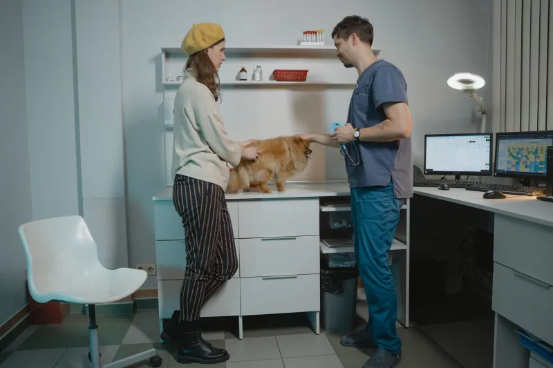 That Tiny Chip Could Bring Your Pet Home: Everything New Haven Owners Need to Know About Microchipping