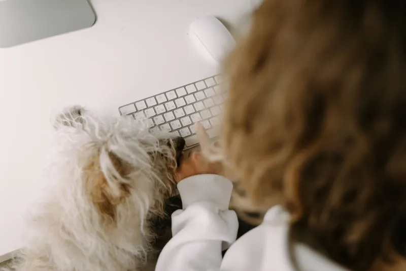 Working From Home Was Supposed to Be Good for Your Dog. Here's Why It Might Not Be.
